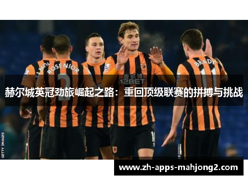 赫尔城英冠劲旅崛起之路：重回顶级联赛的拼搏与挑战